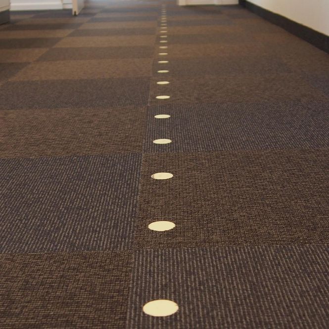 Hovedbilde Prolink® etterlysende sirkler